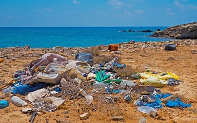 Do Single Use Plastic Bans Make a Difference?